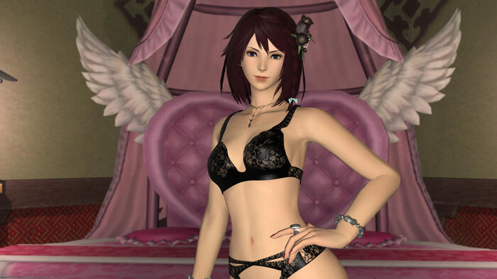 got some new lingerie